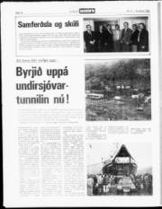 Síða 14