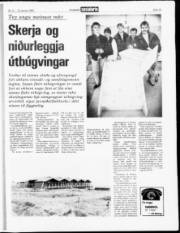 Síða 15
