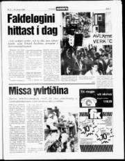 Síða 3