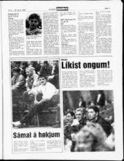 Síða 11