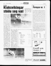 Síða 13