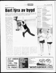 Síða 14