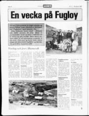 Síða 14