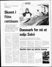 Síða 4