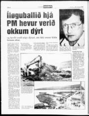 Síða 8
