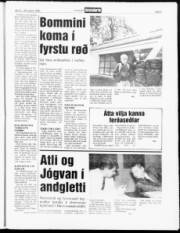 Síða 9