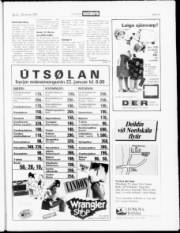 Síða 19