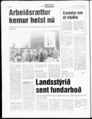 Síða 6