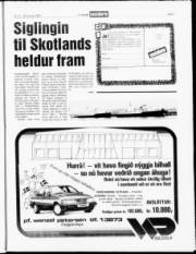 Síða 7