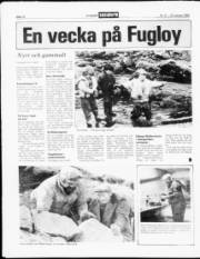 Síða 12