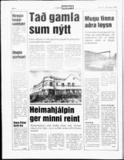 Síða 6