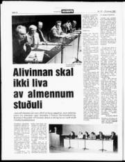 Síða 13