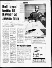 Síða 20