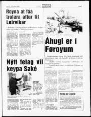 Síða 5
