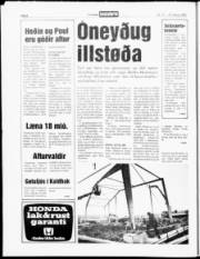 Síða 6