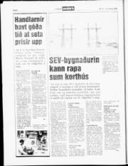 Síða 8