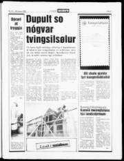 Síða 3