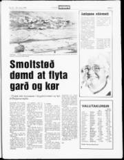 Síða 5