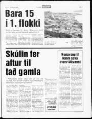 Síða 7