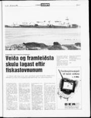 Síða 13