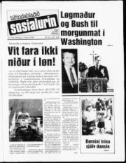 Síða 1