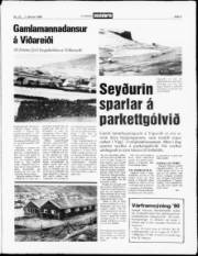 Síða 3