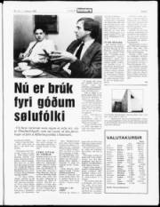 Síða 5