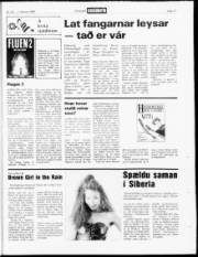 Síða 17