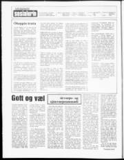 Síða 2