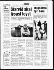 Síða 3
