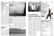 Síða 3