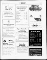 Síða 19