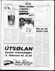 Síða 21
