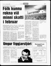 Síða 3
