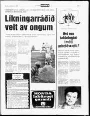 Síða 7