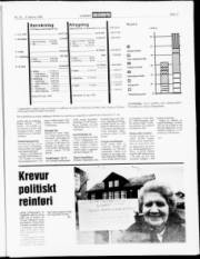 Síða 11