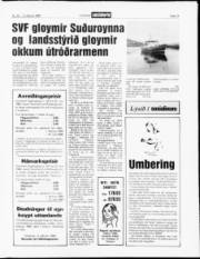 Síða 13