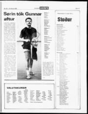 Síða 17