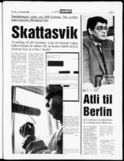 Síða 3