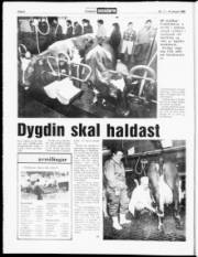 Síða 4