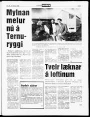 Síða 5