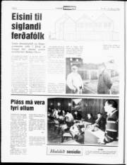 Síða 6