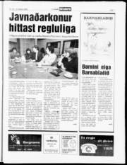 Síða 7