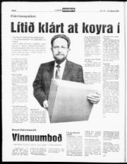 Síða 8