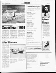 Síða 15
