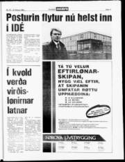 Síða 17