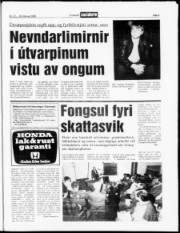 Síða 3