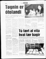 Síða 6
