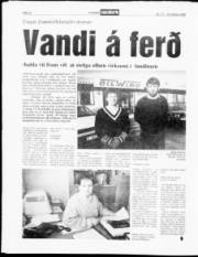 Síða 12