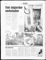 Síða 14
